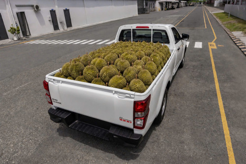 Đánh giá Isuzu D-CARGO 1000: Giải pháp chở sầu riêng và xe máy tối ưu