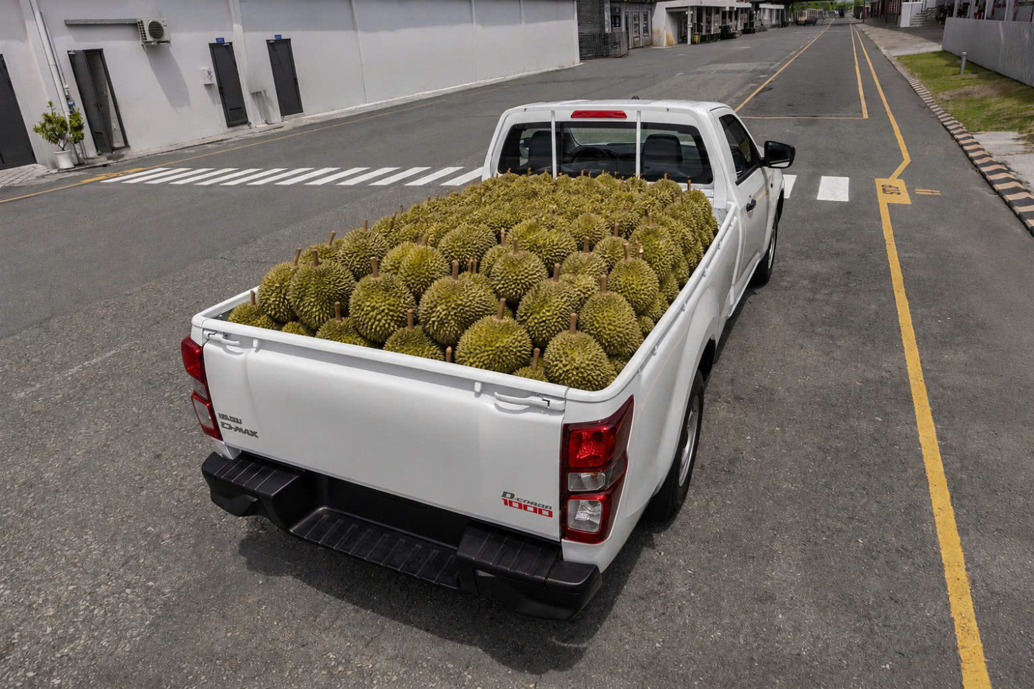 Đánh giá Isuzu D-CARGO 1000: Giải pháp chở sầu riêng và xe máy tối ưu